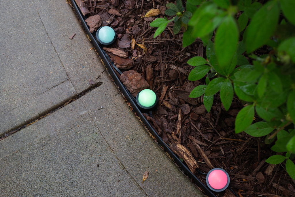 Enbrighten Landscape Lights