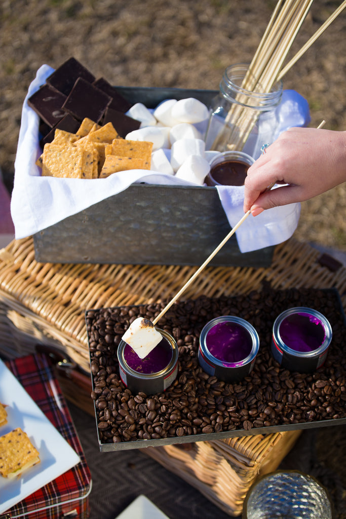 S'mores Picnic