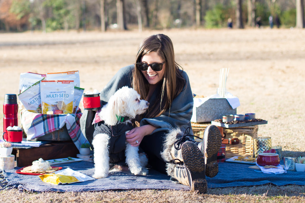 DIY Winter Picnic