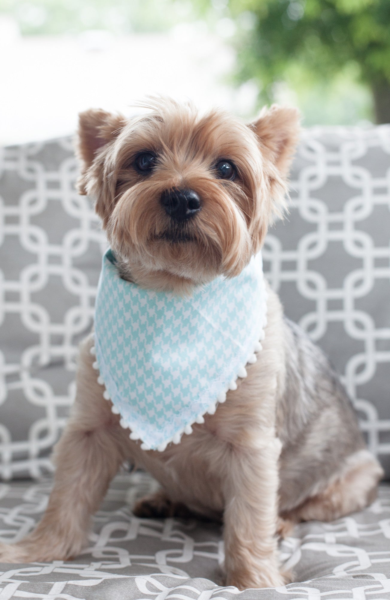 DIY Doggy Bandana