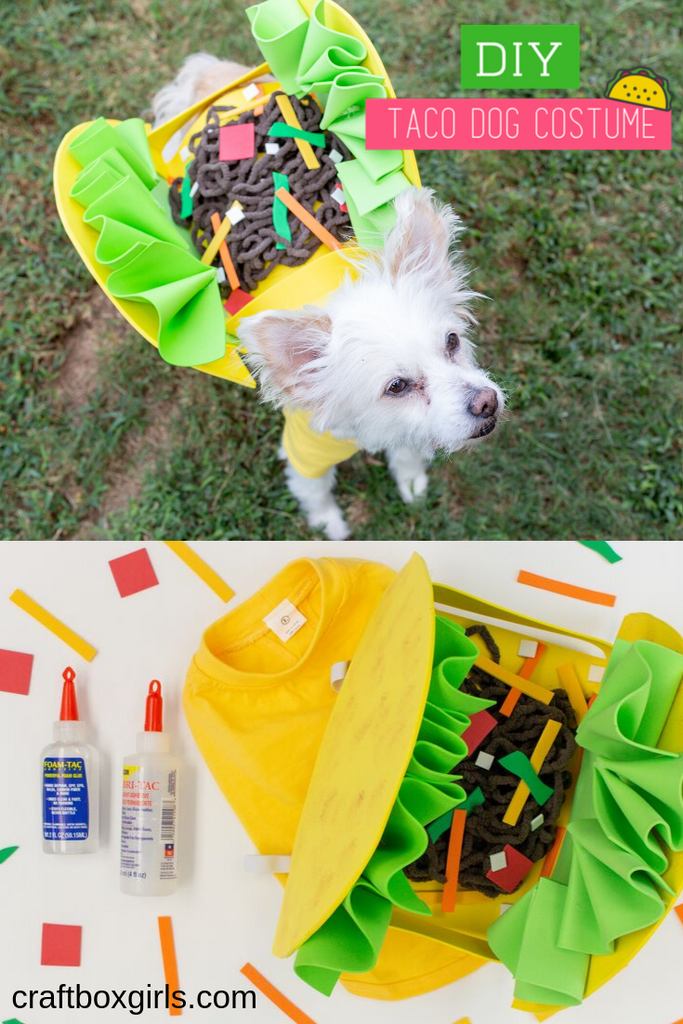 DIY Dog Taco Costume